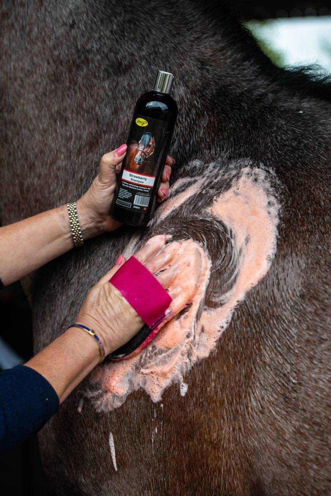 Smart Grooming Strawberry Red Shampoo - N P Equestrian & Pet Supplies Ltd