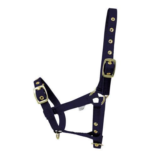 Hy Equestrian Foal Head Collar Navy - N P Equestrian & Pet Supplies Ltd