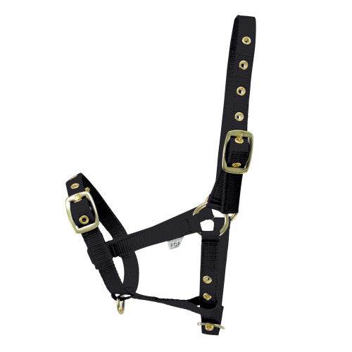 Hy Equestrian Foal Head Collar Black - N P Equestrian & Pet Supplies Ltd