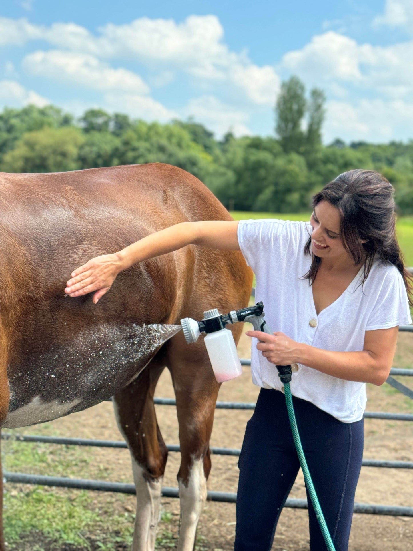 Parallax Equi Bathe Pro - N P Equestrian & Pet Supplies Ltd