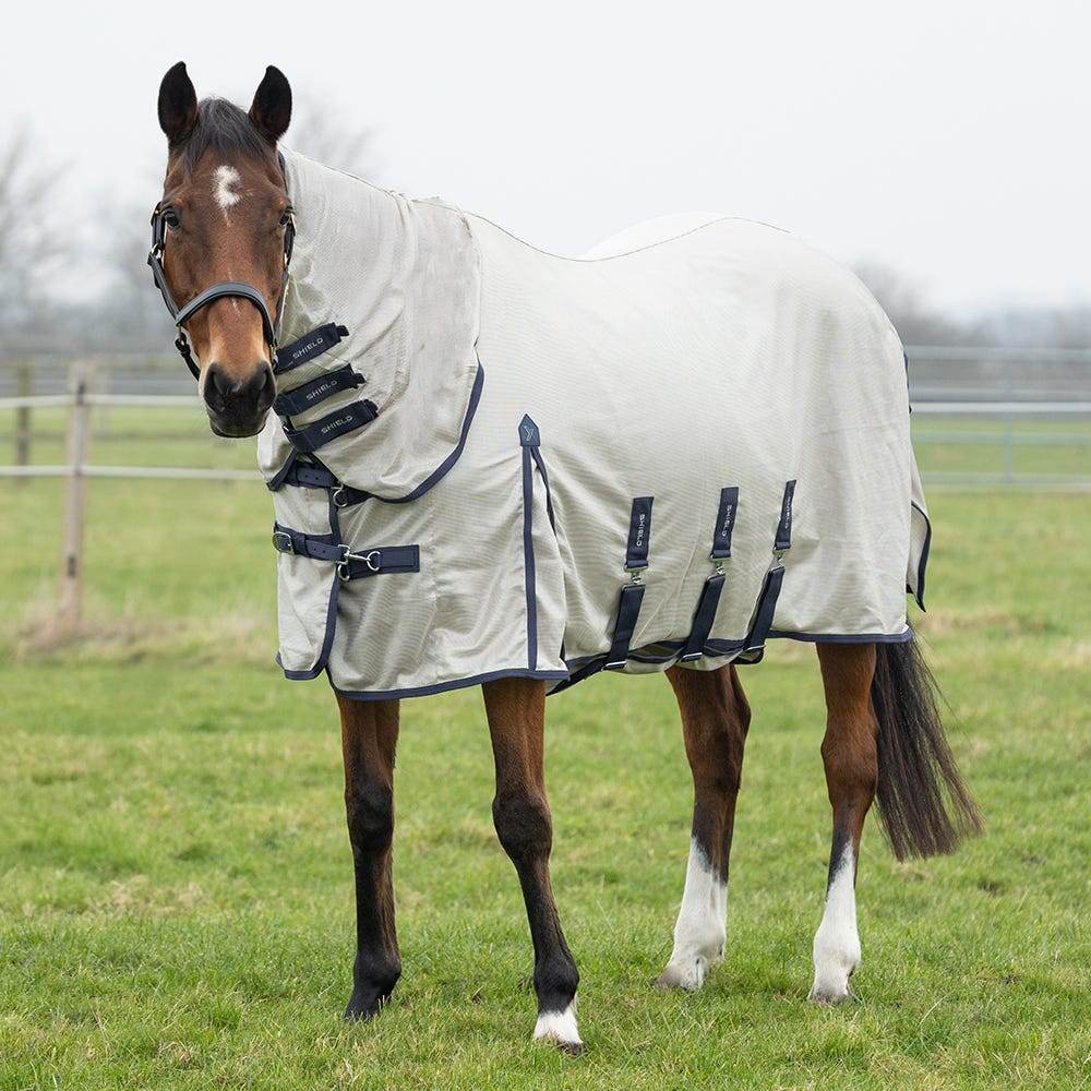 DefenceX Shield Rain-Repel Mesh Combi Fly Rug - N P Equestrian & Pet Supplies Ltd