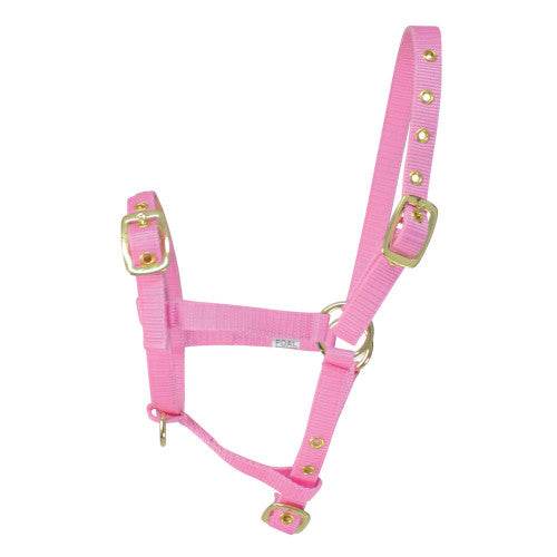 Hy Equestrian Foal Head Collar Pink - N P Equestrian & Pet Supplies Ltd