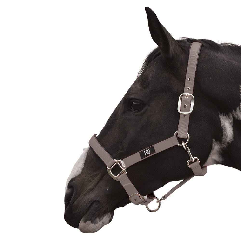 Hy Equestrian Grand Prix Head Collar Grey