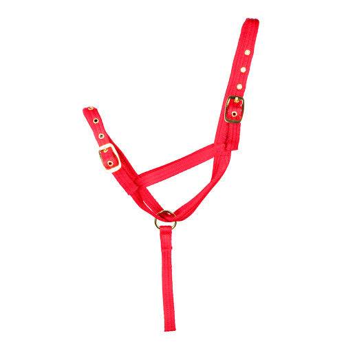 Hy Equestrian Foal Slip Halter Red - N P Equestrian & Pet Supplies Ltd