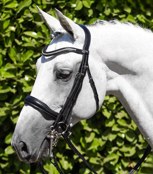 Premier Equine Abriano Anatomic Double Bridle - N P Equestrian & Pet Supplies Ltd