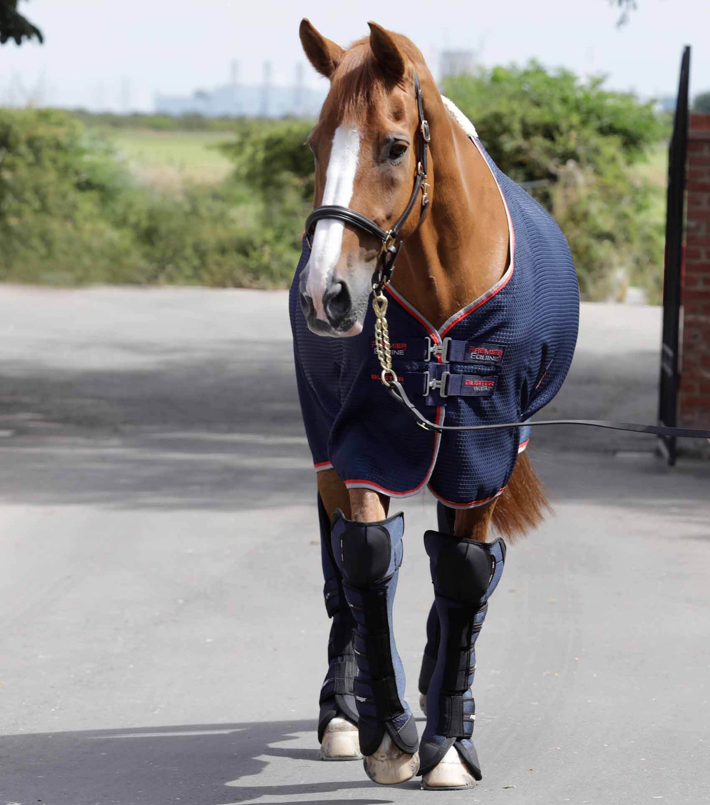 Premier Equine Air-Technology Knee Pro-Tech Horse Travel Boots - N P Equestrian & Pet Supplies Ltd