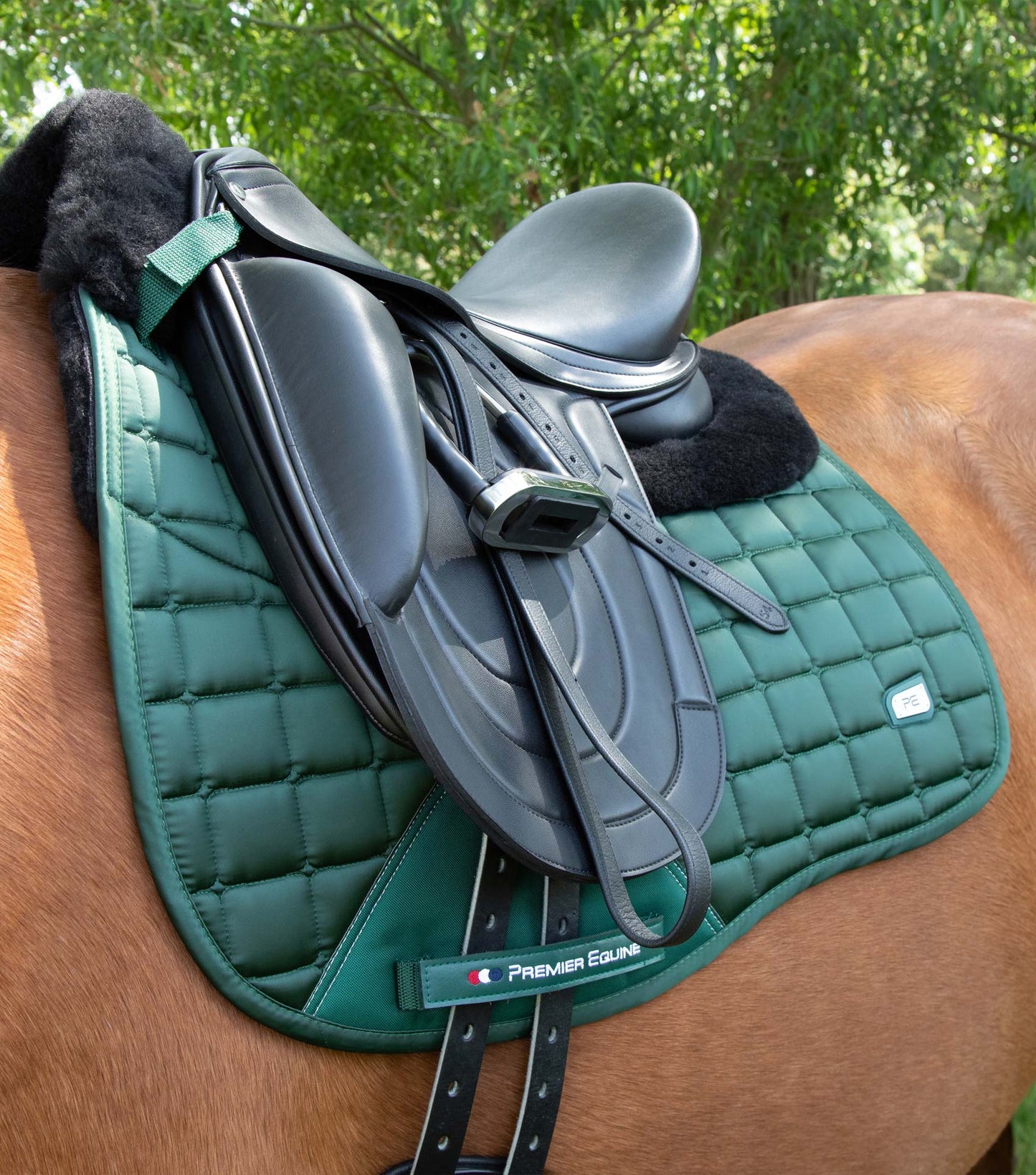 Premier Equine Atlantis CC Satin Wool Dressage Square Olive/Black Wool