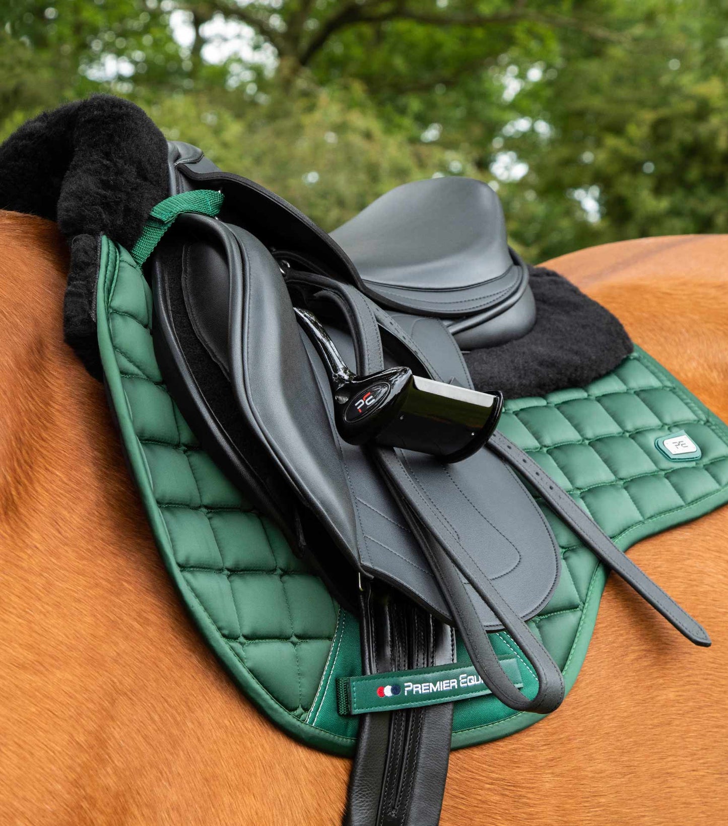 Premier Equine Atlantis CC Satin Wool GP/Jump Square Olive/Black Wool