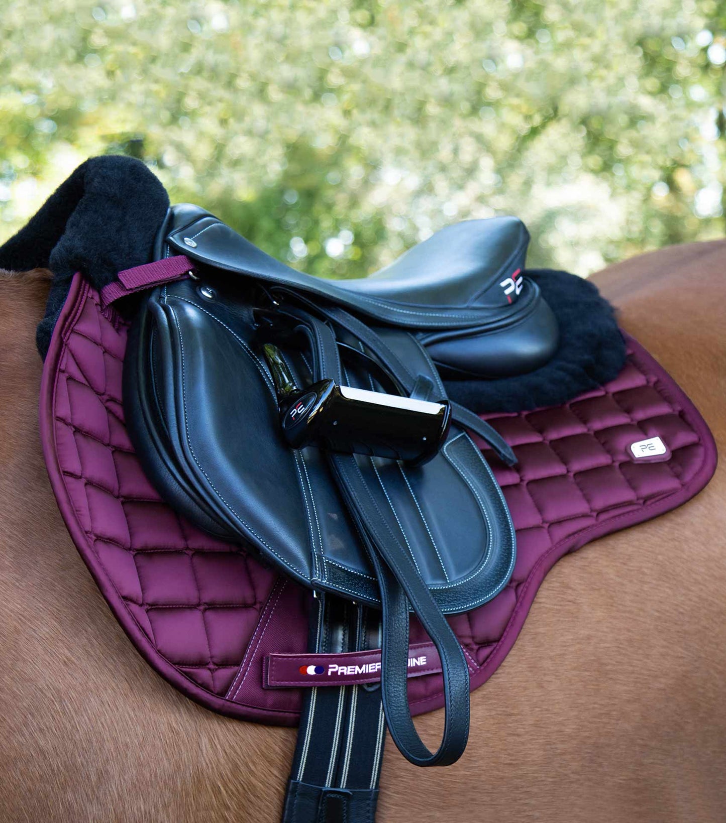Premier Equine Atlantis CC Satin Wool GP/Jump Square Wine/Black Wool