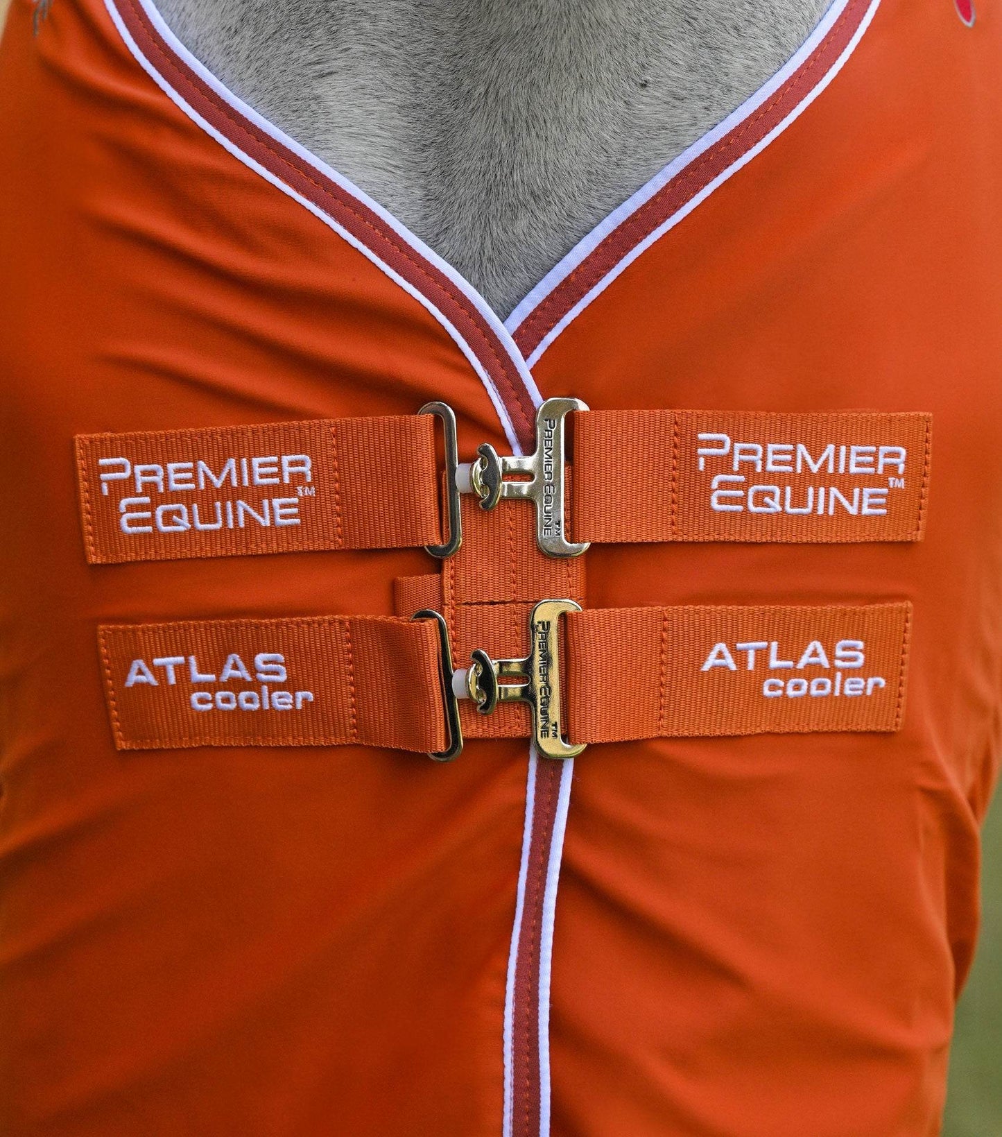 Premier Equine Atlas Horse Cooler Rug Burnt Orange - N P Equestrian & Pet Supplies Ltd