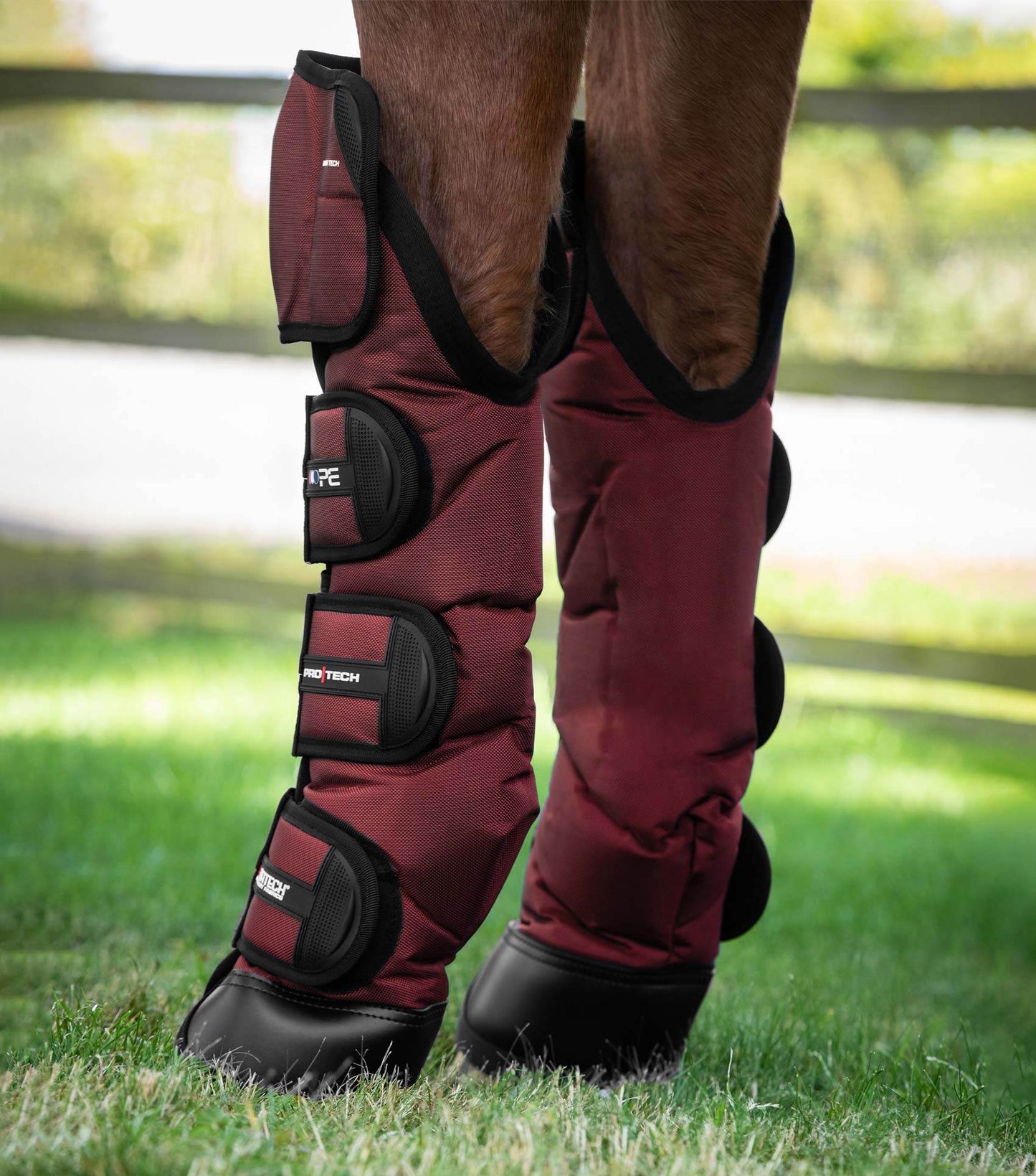 Premier Equine Ballistic Knee Pro-Tech Horse Travel Boots - N P Equestrian & Pet Supplies Ltd