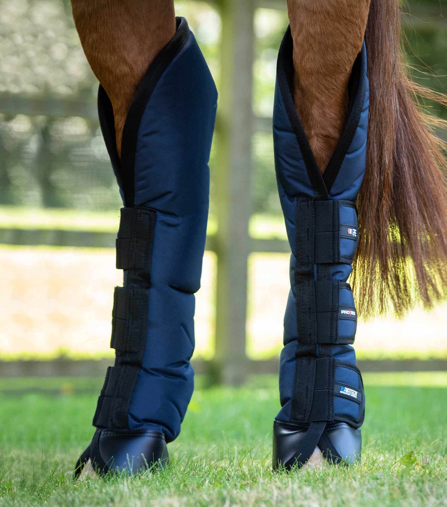 Premier Equine Ballistic Knee Pro-Tech Horse Travel Boots - N P Equestrian & Pet Supplies Ltd