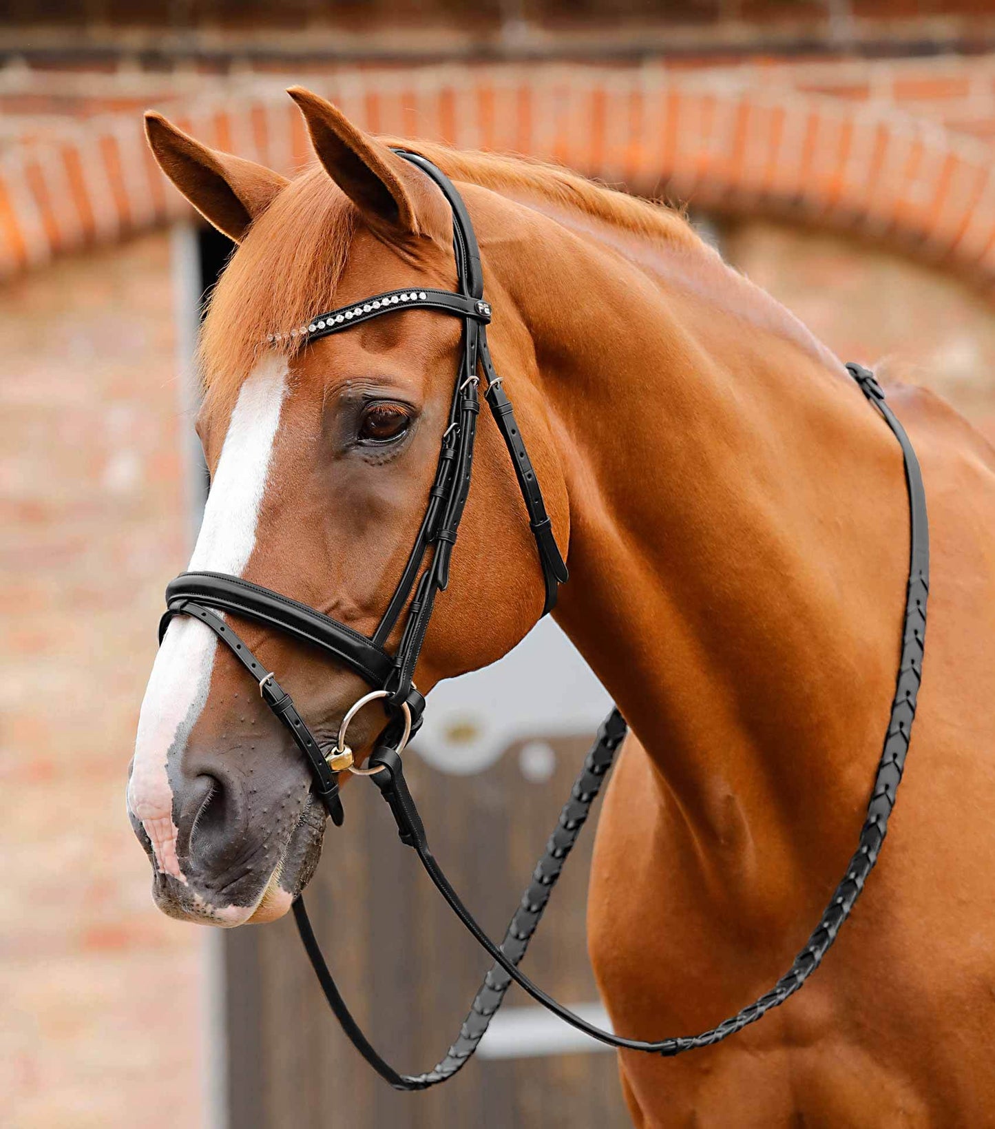 Premier Equine Bellissima Shaped Diamante Browband - N P Equestrian & Pet Supplies Ltd