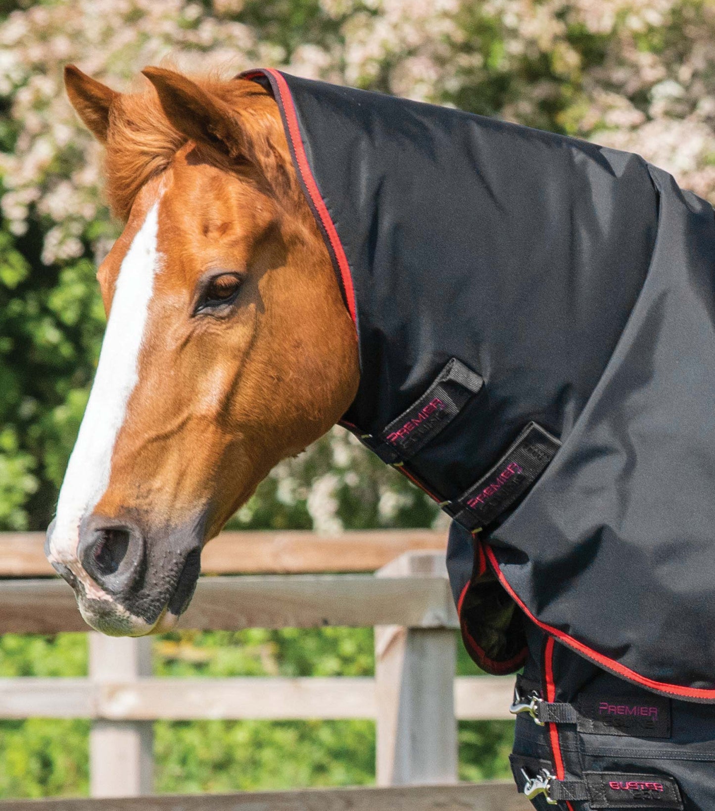 Premier Equine Buster 250g Turnout Rug with Classic Neck Cover Black