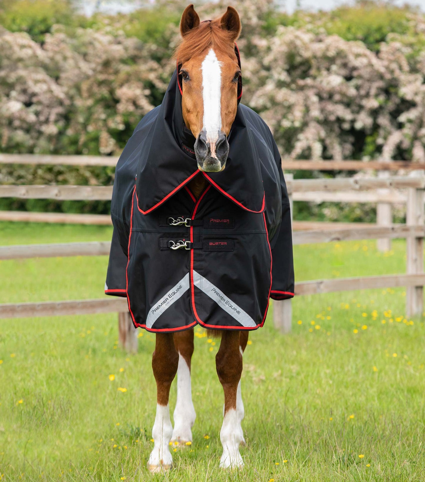 Premier Equine Buster 250g Turnout Rug with Classic Neck Cover Black