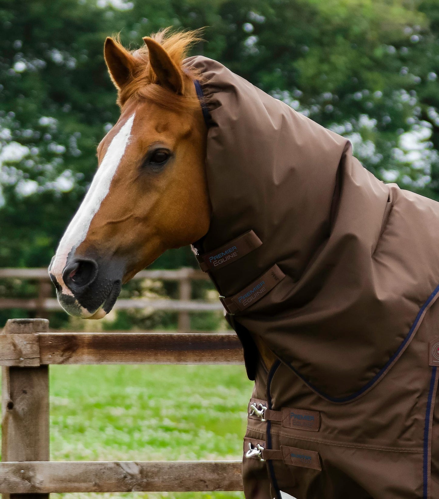 Premier Equine Buster 400g Turnout Rug with Snug-Fit Neck Cover Brown