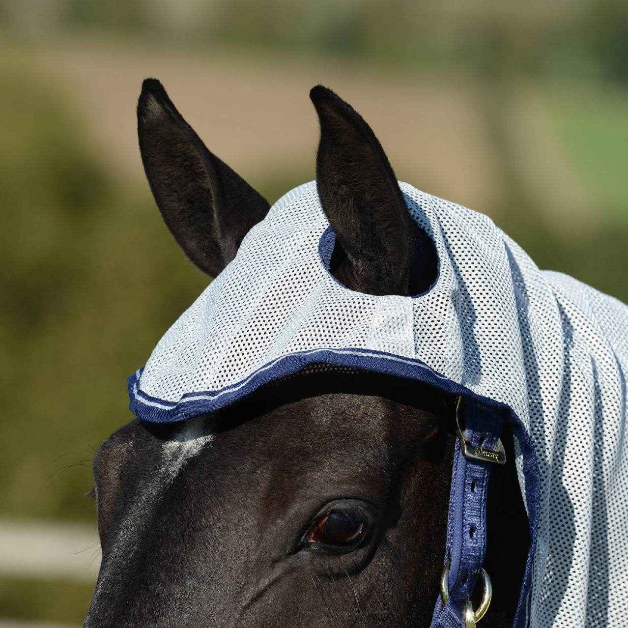 Bucas Buzz-Off X Big Neck Fly Rug Combo - Silver