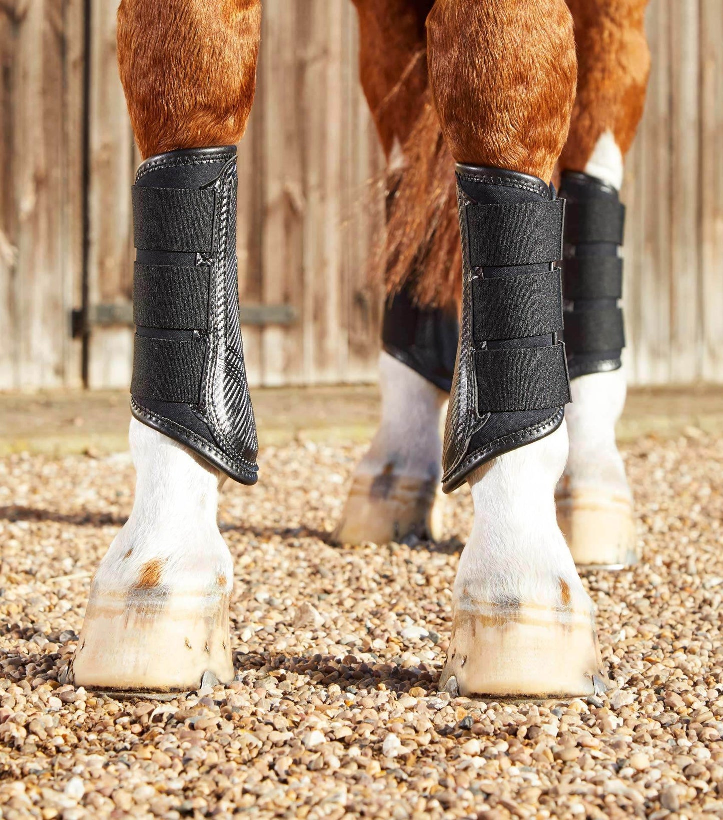 Premier Equine Carbon Air-Tech Single Locking Brushing Boots - N P Equestrian & Pet Supplies Ltd