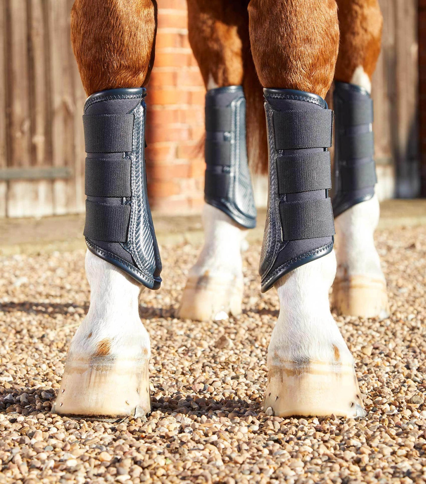 Premier Equine Carbon Air-Tech Single Locking Brushing Boots - N P Equestrian & Pet Supplies Ltd