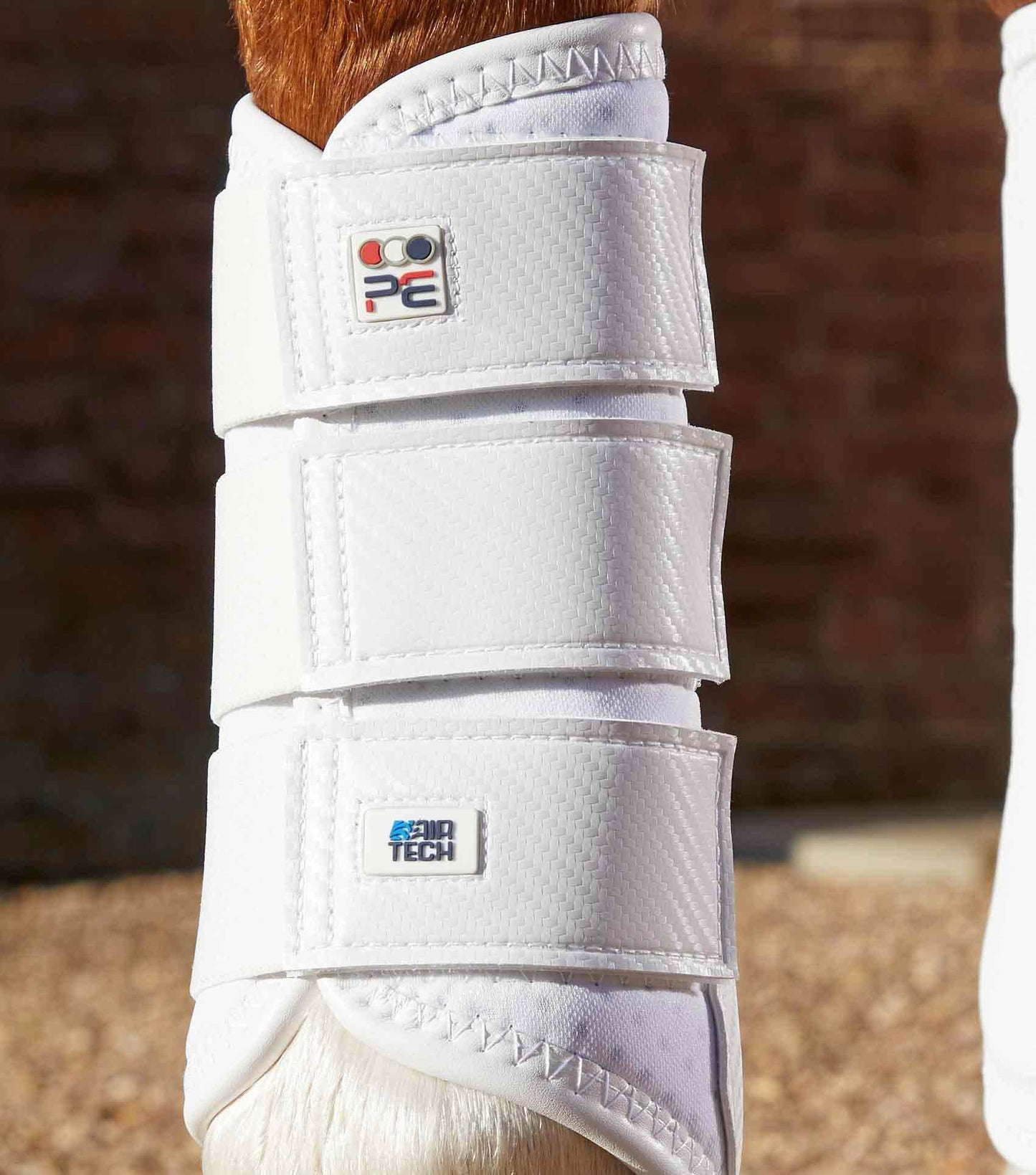 Premier Equine Carbon Air-Tech Single Locking Brushing Boots - N P Equestrian & Pet Supplies Ltd