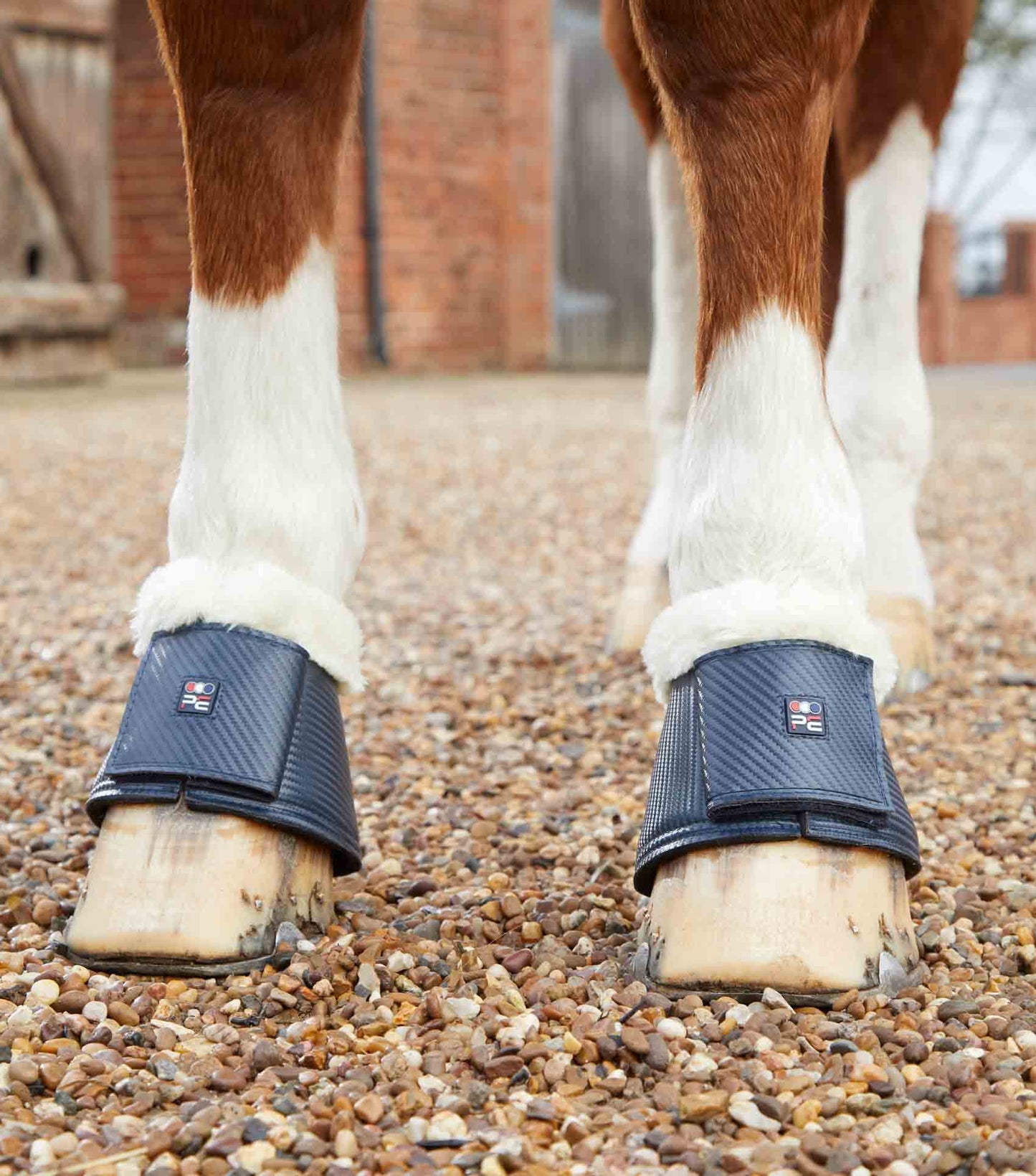 Premier Equine Carbon Tech Techno Wool Over Reach Boots - N P Equestrian & Pet Supplies Ltd