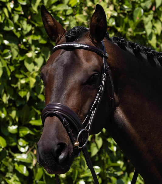 Premier Equine Castello Anatomical Bridle - N P Equestrian & Pet Supplies Ltd