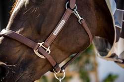 Equilibrium Stellar All Weather Headcollar - N P Equestrian & Pet Supplies Ltd