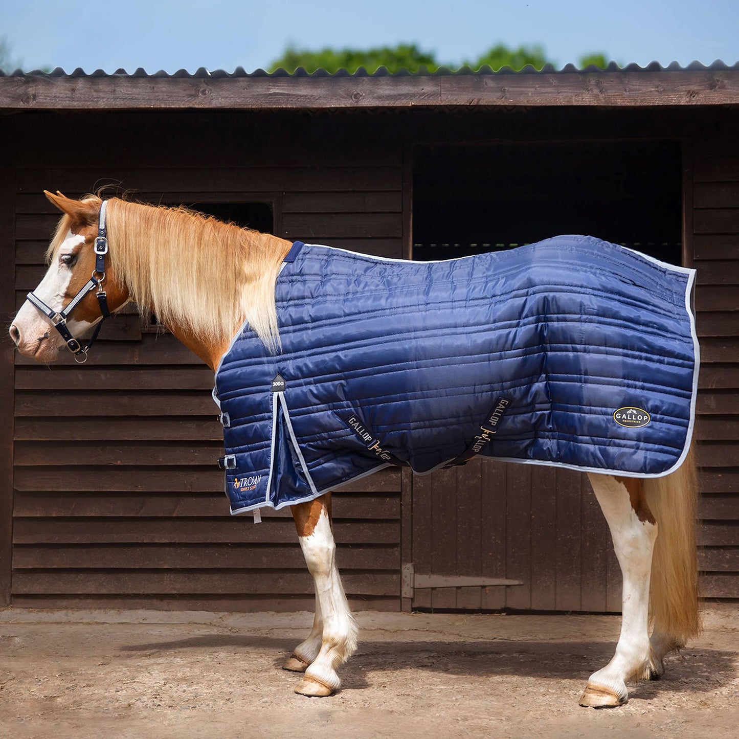 Gallop Trojan 300g Stable Rug - Navy