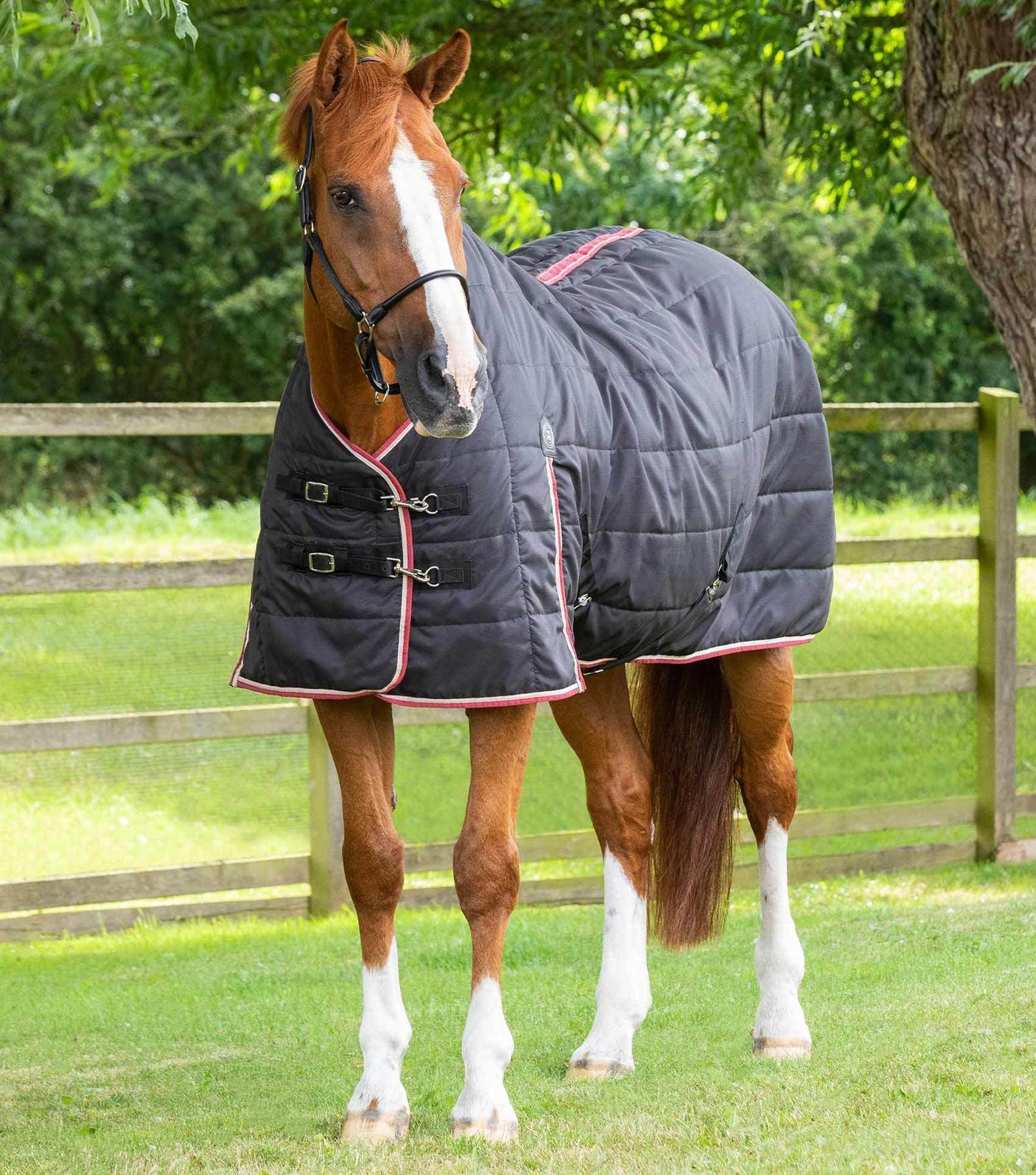 Premier Equine Garissa Stable Rug 100g - N P Equestrian & Pet Supplies Ltd