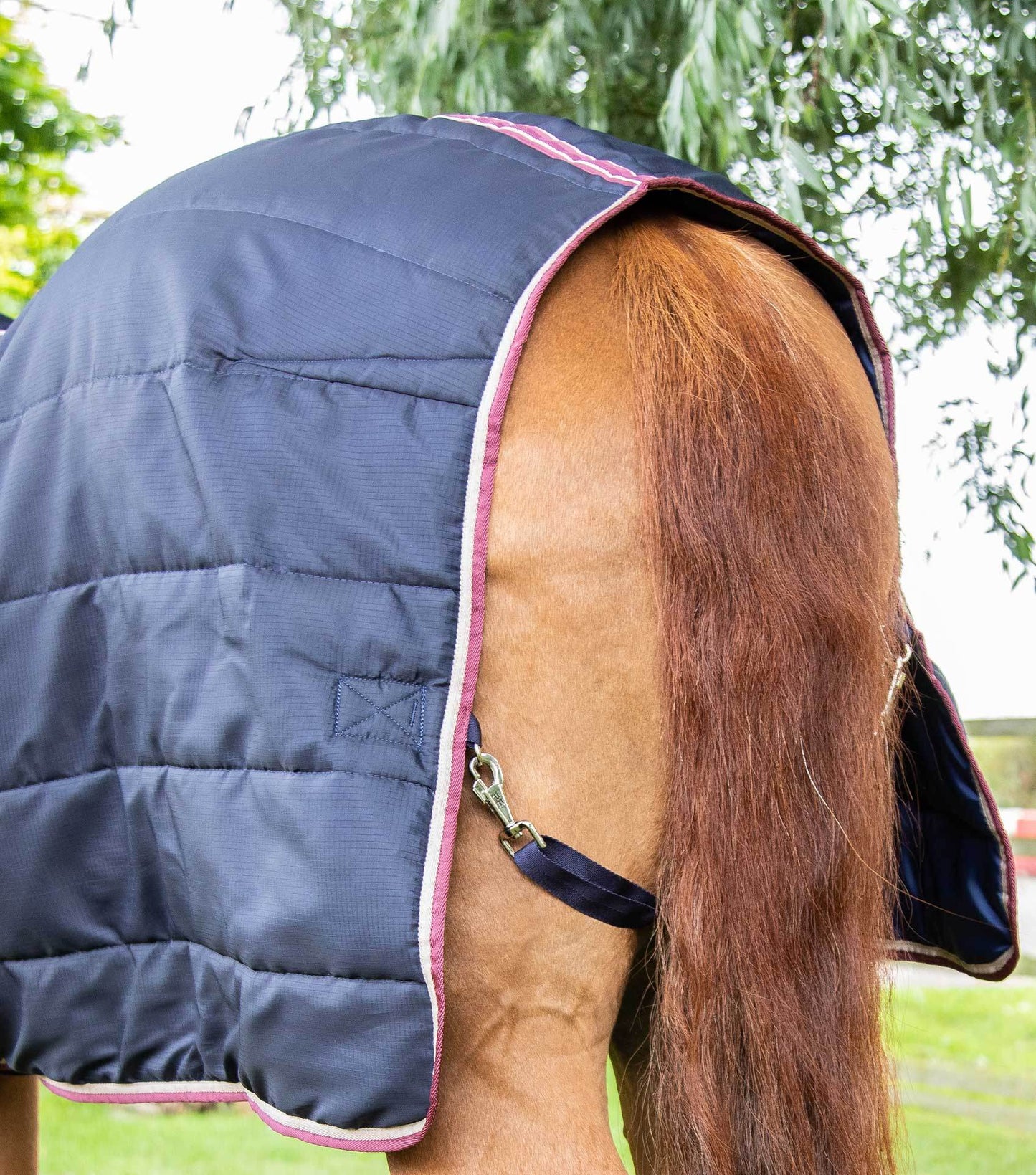 Premier Equine Garissa Stable Rug 100g - N P Equestrian & Pet Supplies Ltd