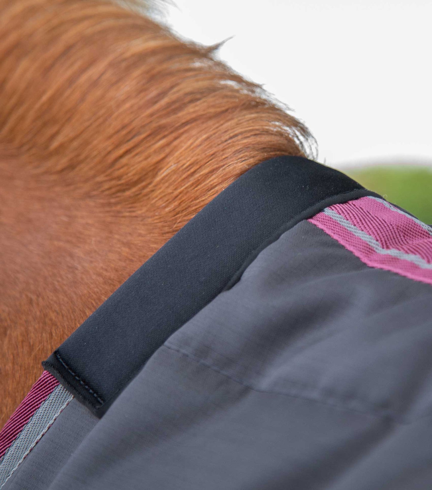 Premier Equine Garissa Stable Rug 200g Black