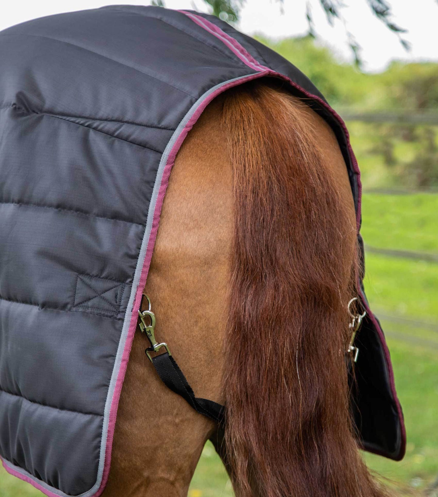 Premier Equine Garissa Stable Rug 200g Black - N P Equestrian & Pet Supplies Ltd