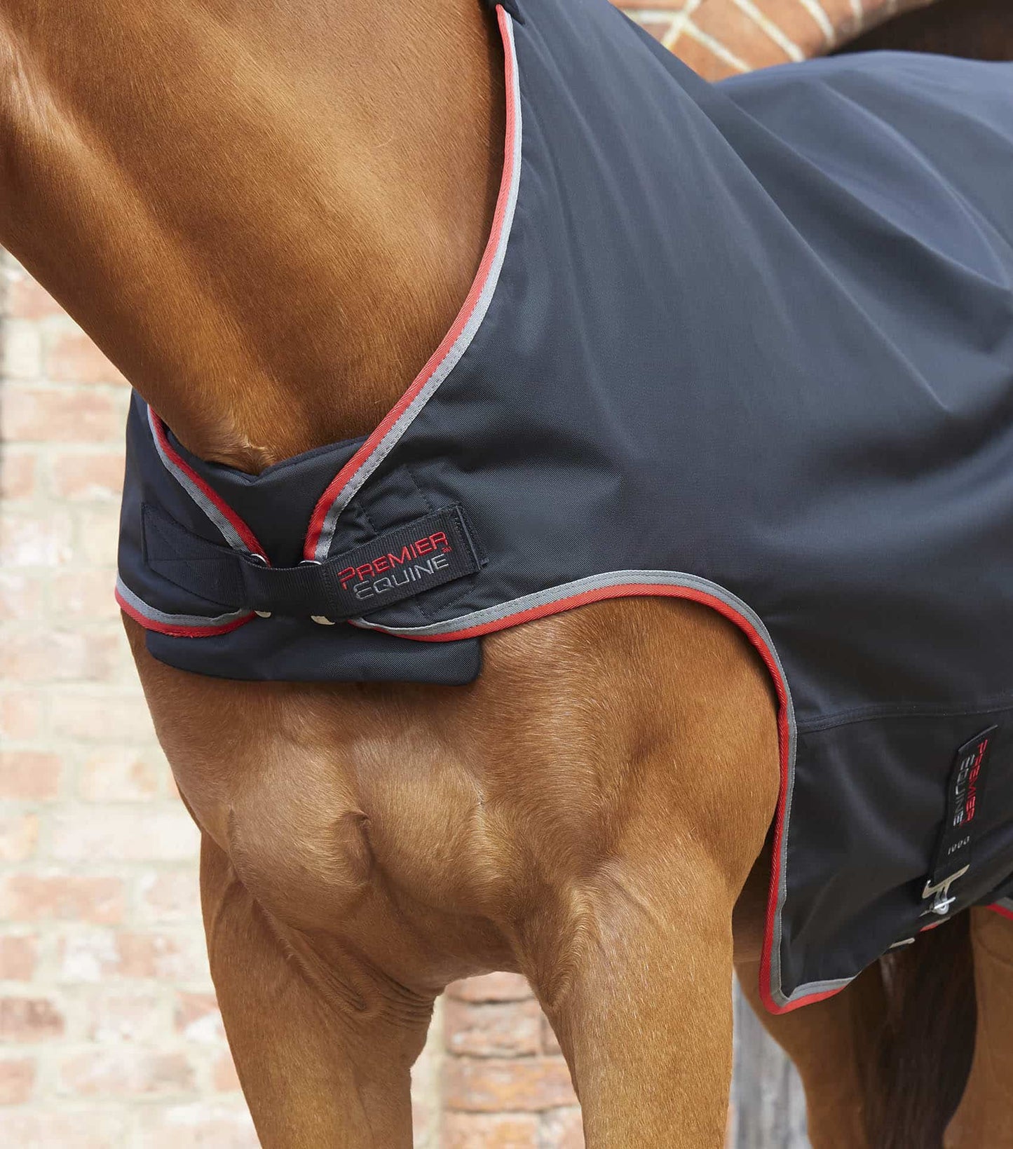 Premier Equine Horse Walker Rug 100g Black