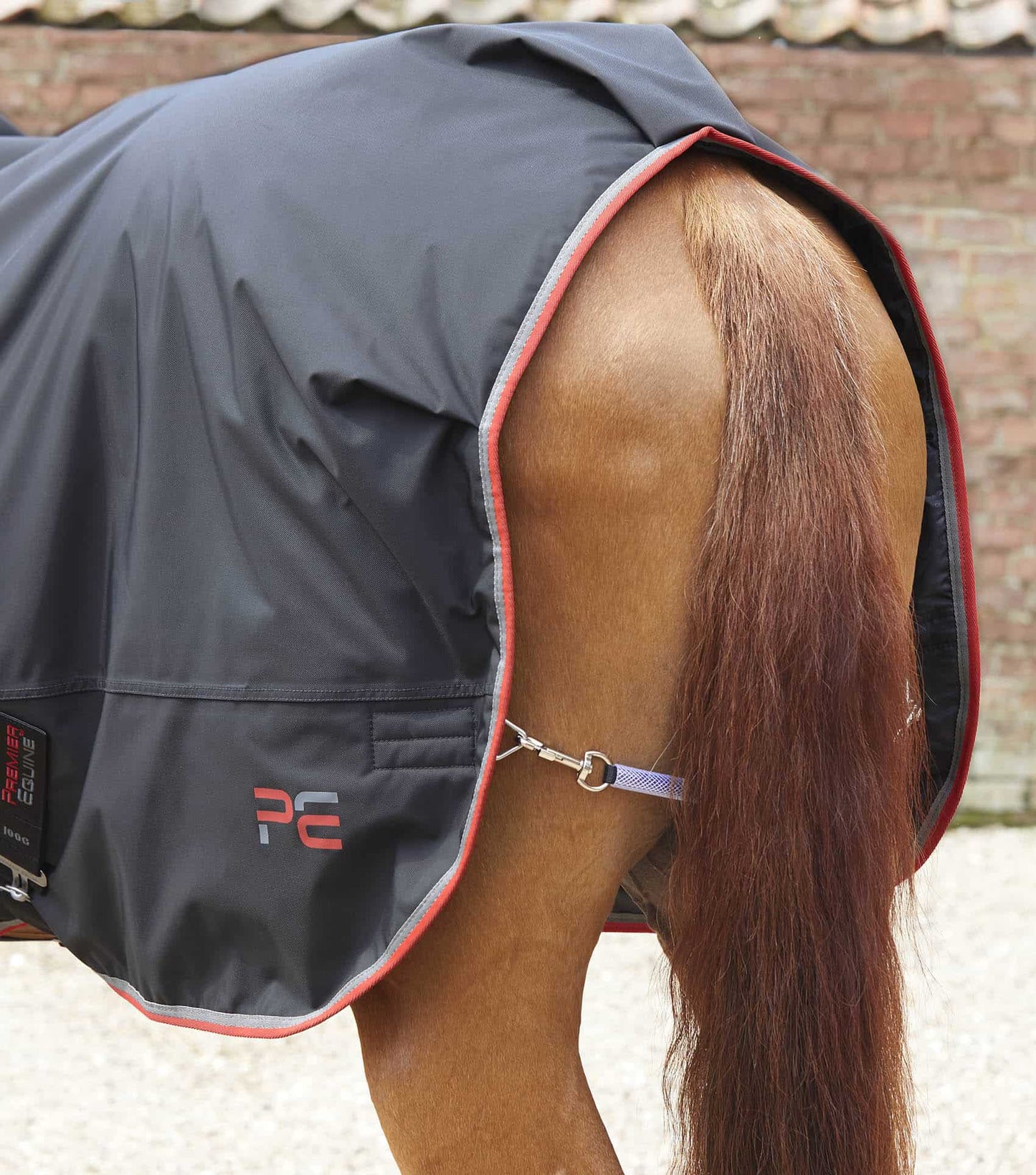 Premier Equine Horse Walker Rug 100g Black