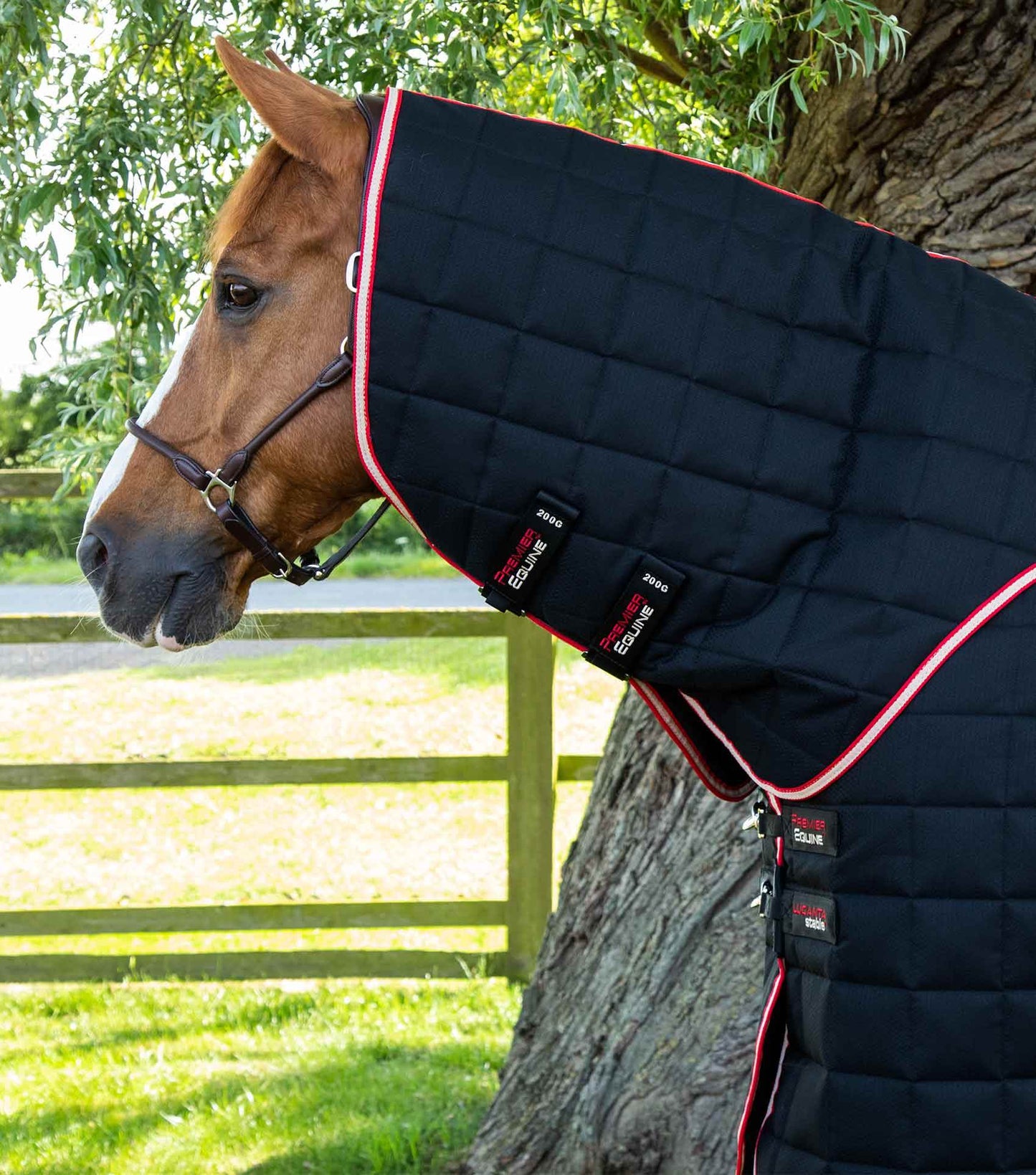 Premier Equine Lucanta 450g Stable Rug with Neck Cover Black - N P Equestrian & Pet Supplies Ltd