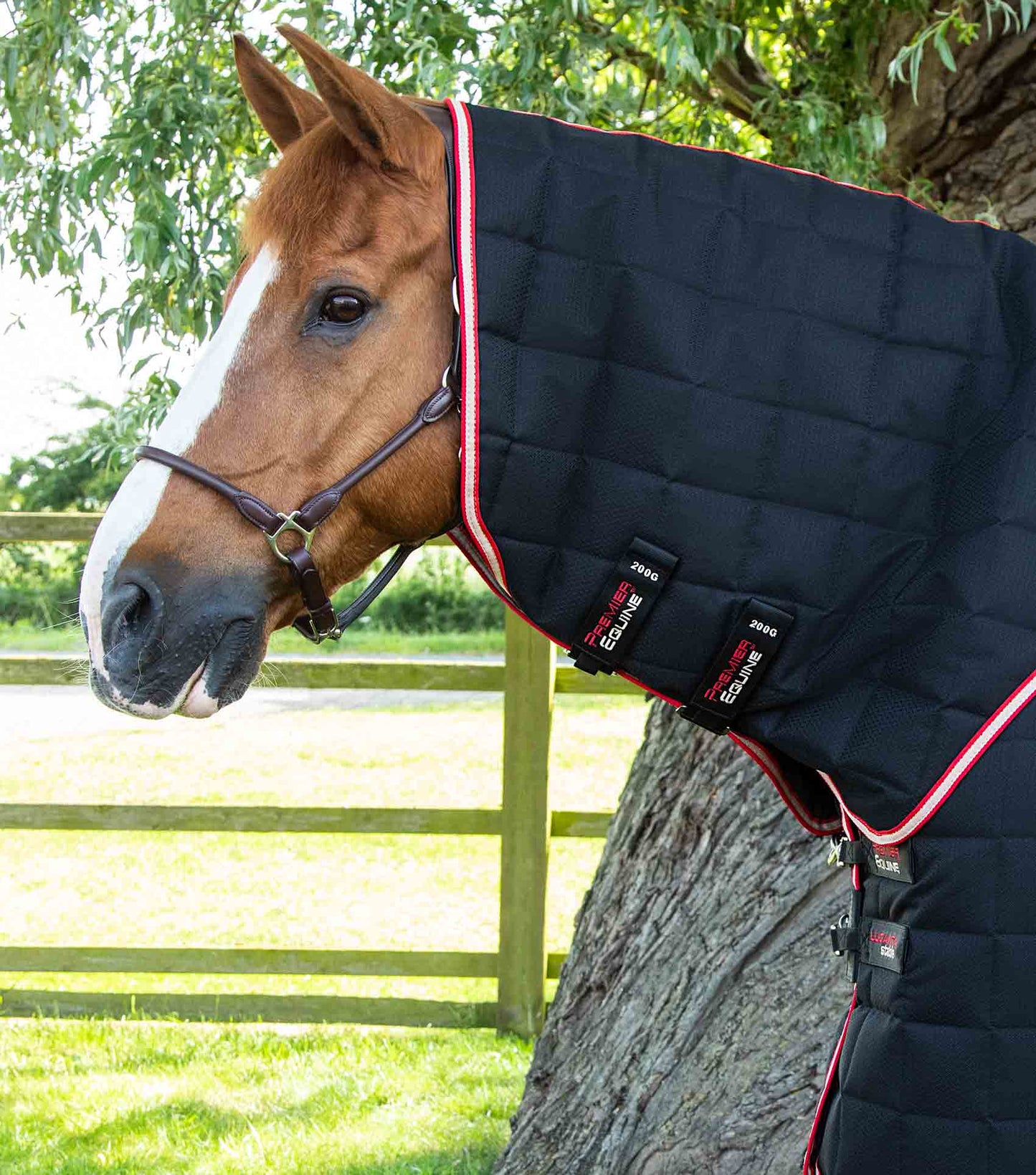 Premier Equine Lucanta 200g Stable Rug with Neck Cover Black