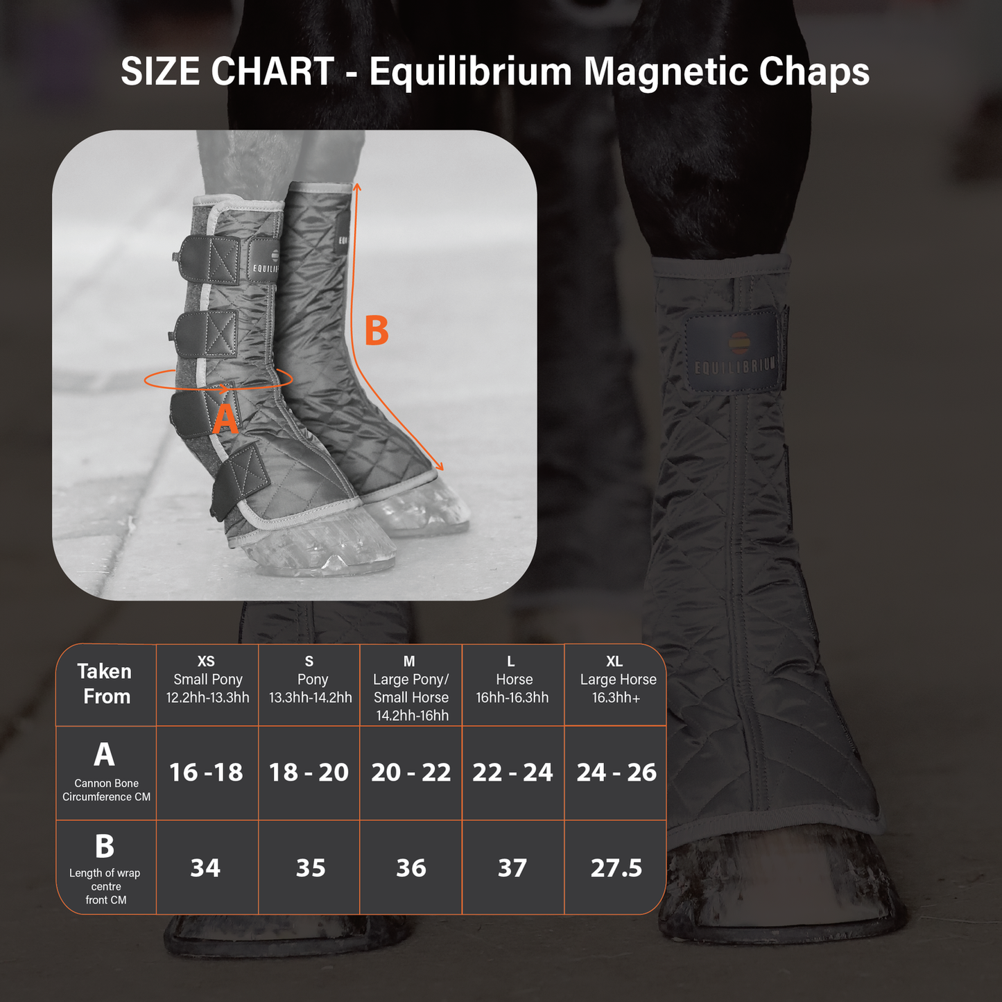 Equilibrium Magnetic Chaps