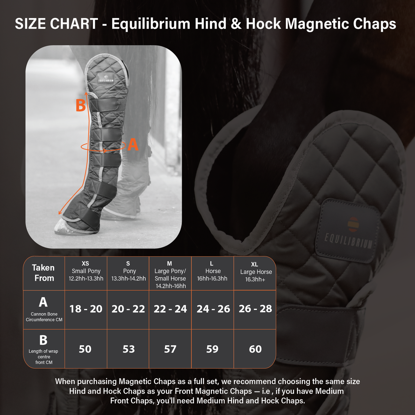 Equilibrium Hind & Hock Magnetic Chaps
