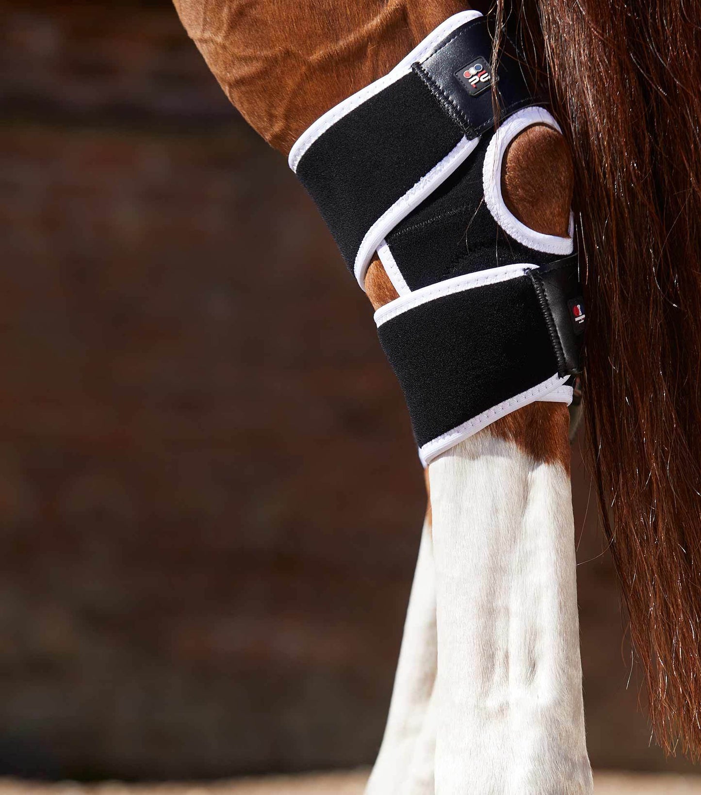 Premier Equine Magni-Teque Magnetic Hock Boots - N P Equestrian & Pet Supplies Ltd