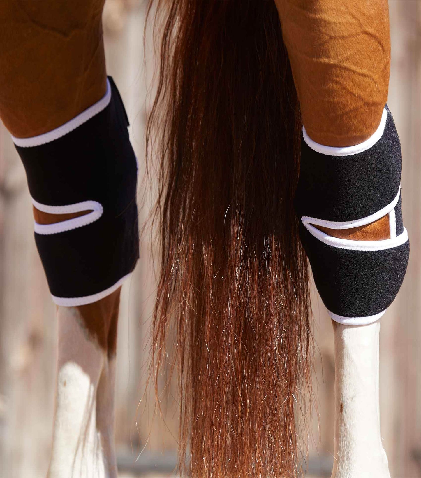 Premier Equine Magni-Teque Magnetic Hock Boots - N P Equestrian & Pet Supplies Ltd