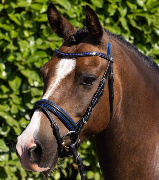Premier Equine Mineo Pony Snaffle Bridle - N P Equestrian & Pet Supplies Ltd