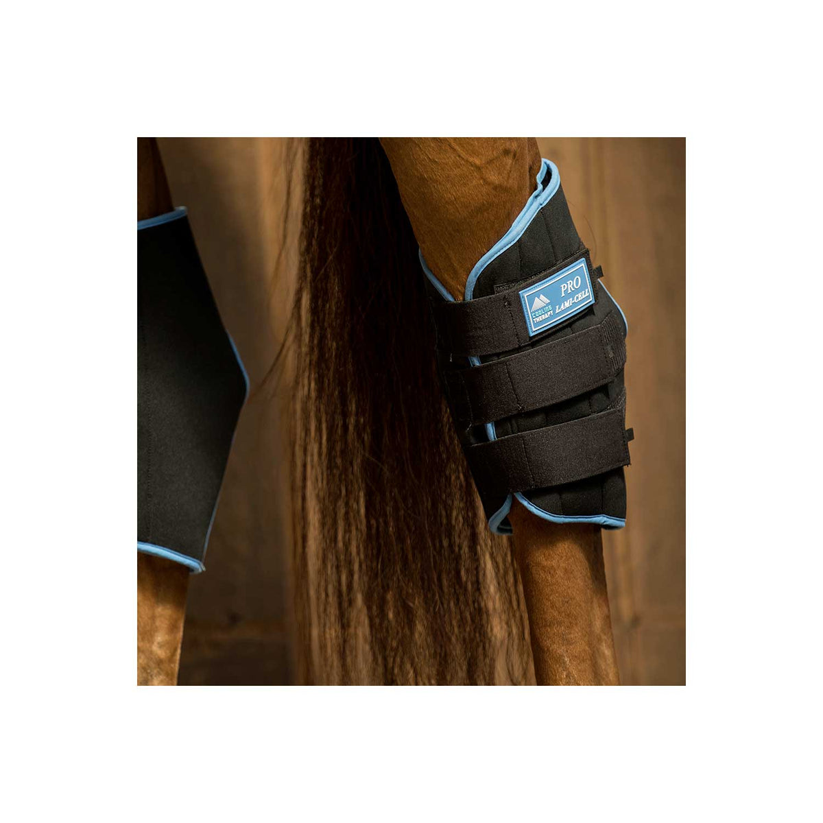 Lami-Cell Ice Hock Boots