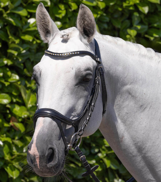 Premier Equine Palazzo Anatomical Bridle - N P Equestrian & Pet Supplies Ltd