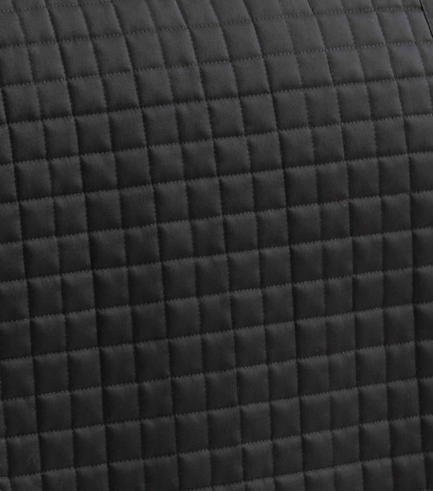 Premier Equine Pony Close Contact Merino Wool Half Lined European GP/ Jump Square Black/Black Wool