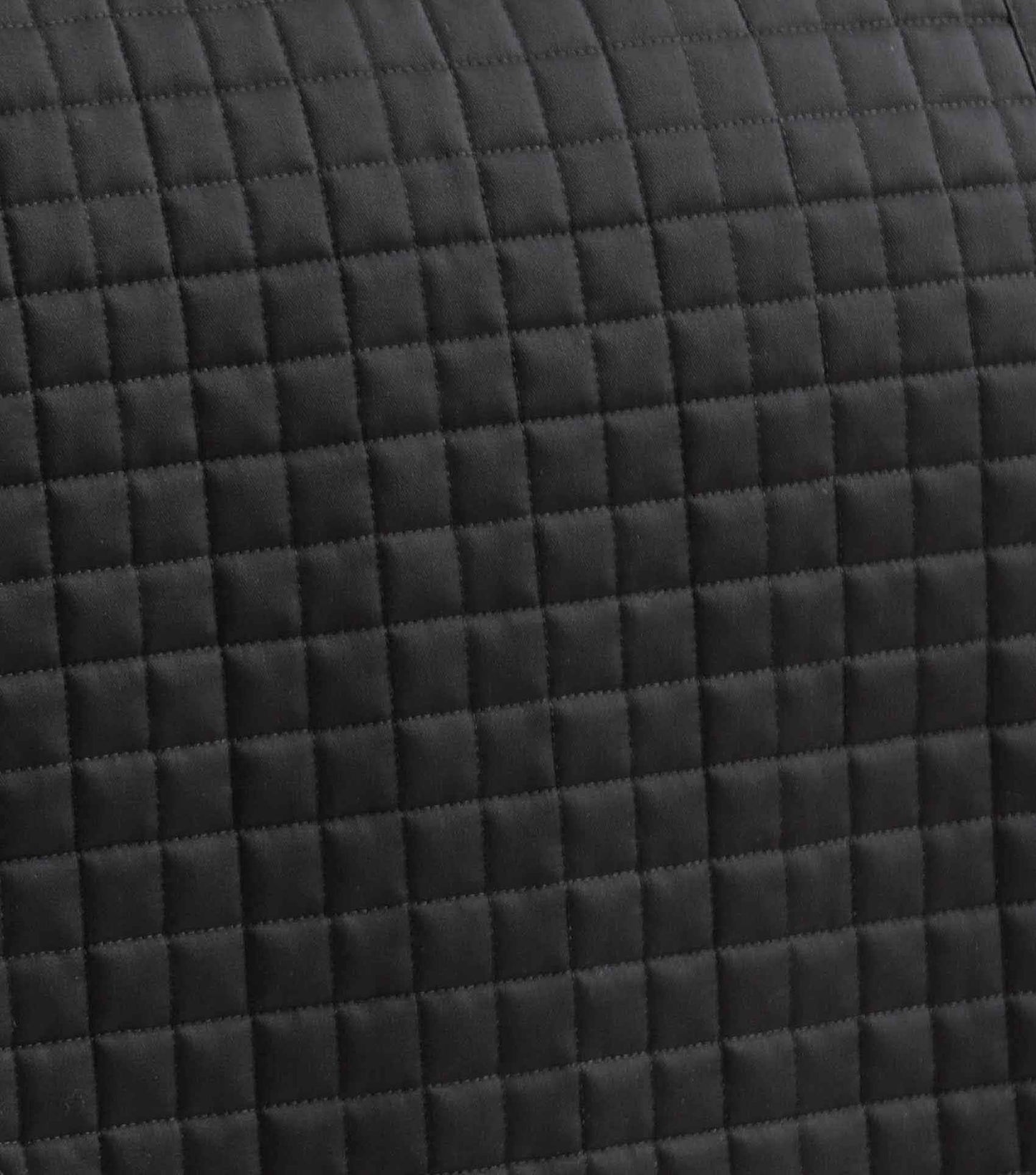 Premier Equine Pony Close Contact Merino Wool Half Lined European GP/ Jump Square Black/Black Wool - N P Equestrian & Pet Supplies Ltd