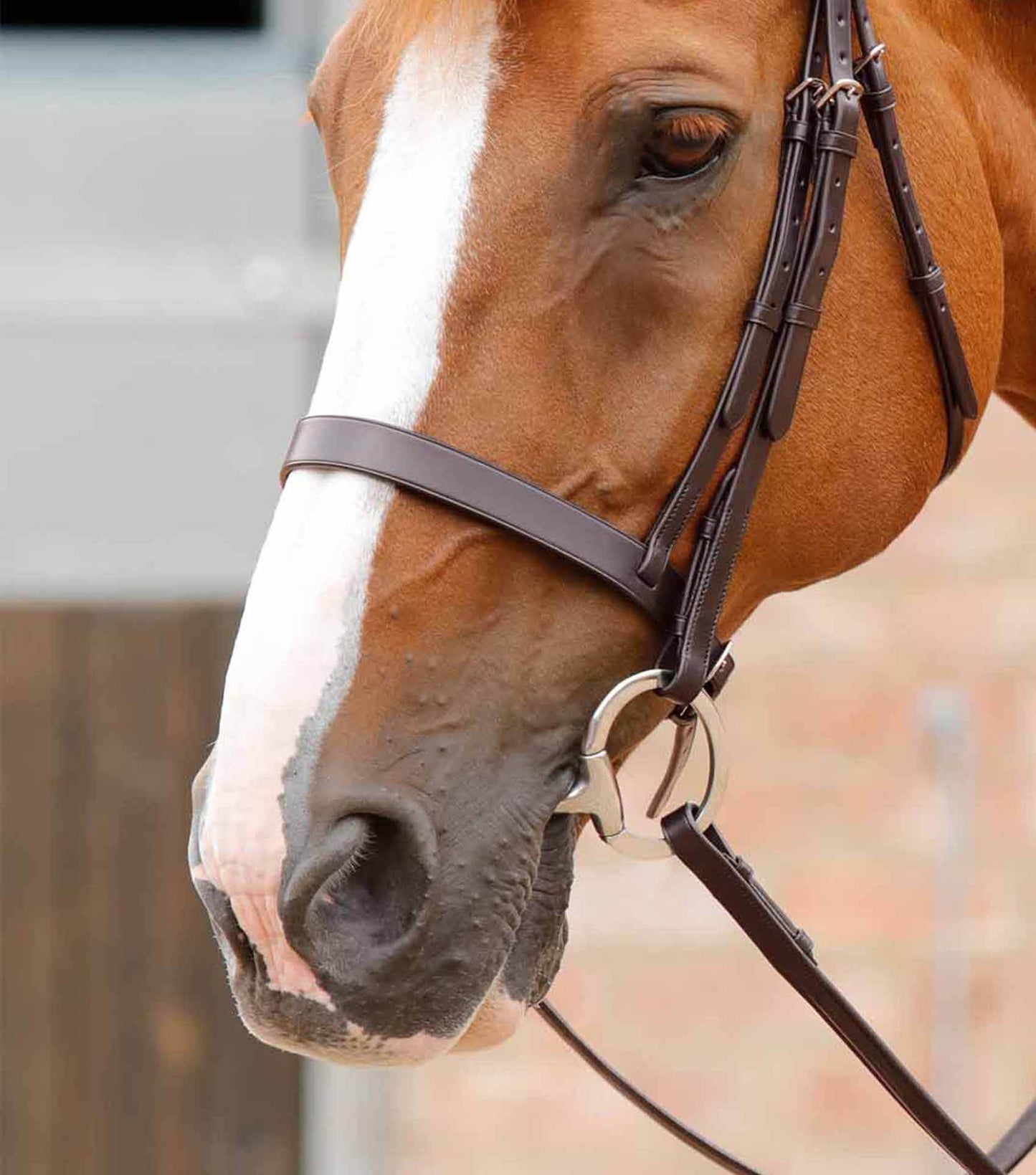 Premier Equine Primo Hunter Cavesson Noseband Brown - N P Equestrian & Pet Supplies Ltd