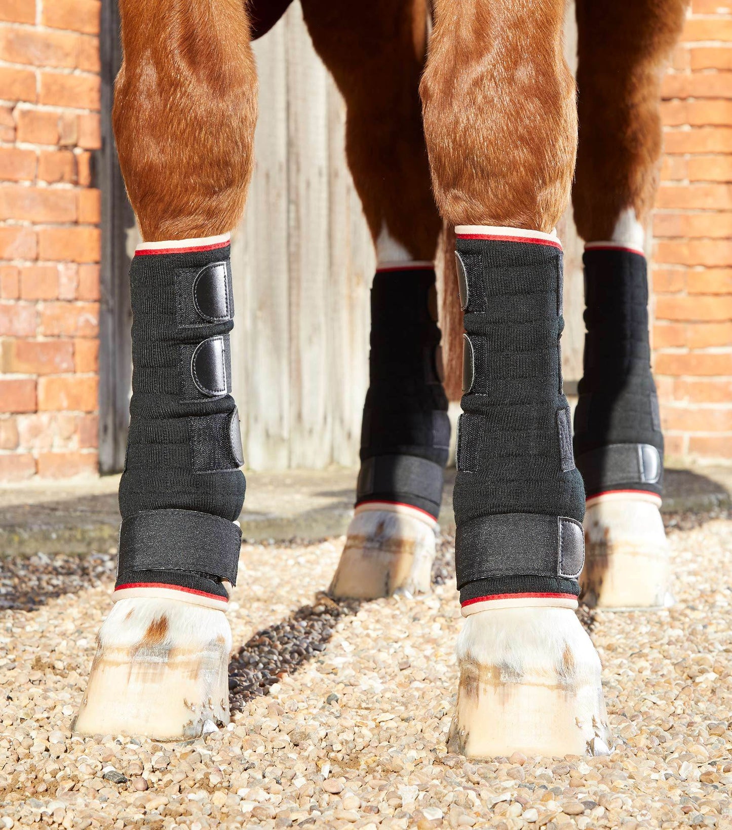 Premier Equine Quick Dry Horse Leg Wraps - N P Equestrian & Pet Supplies Ltd