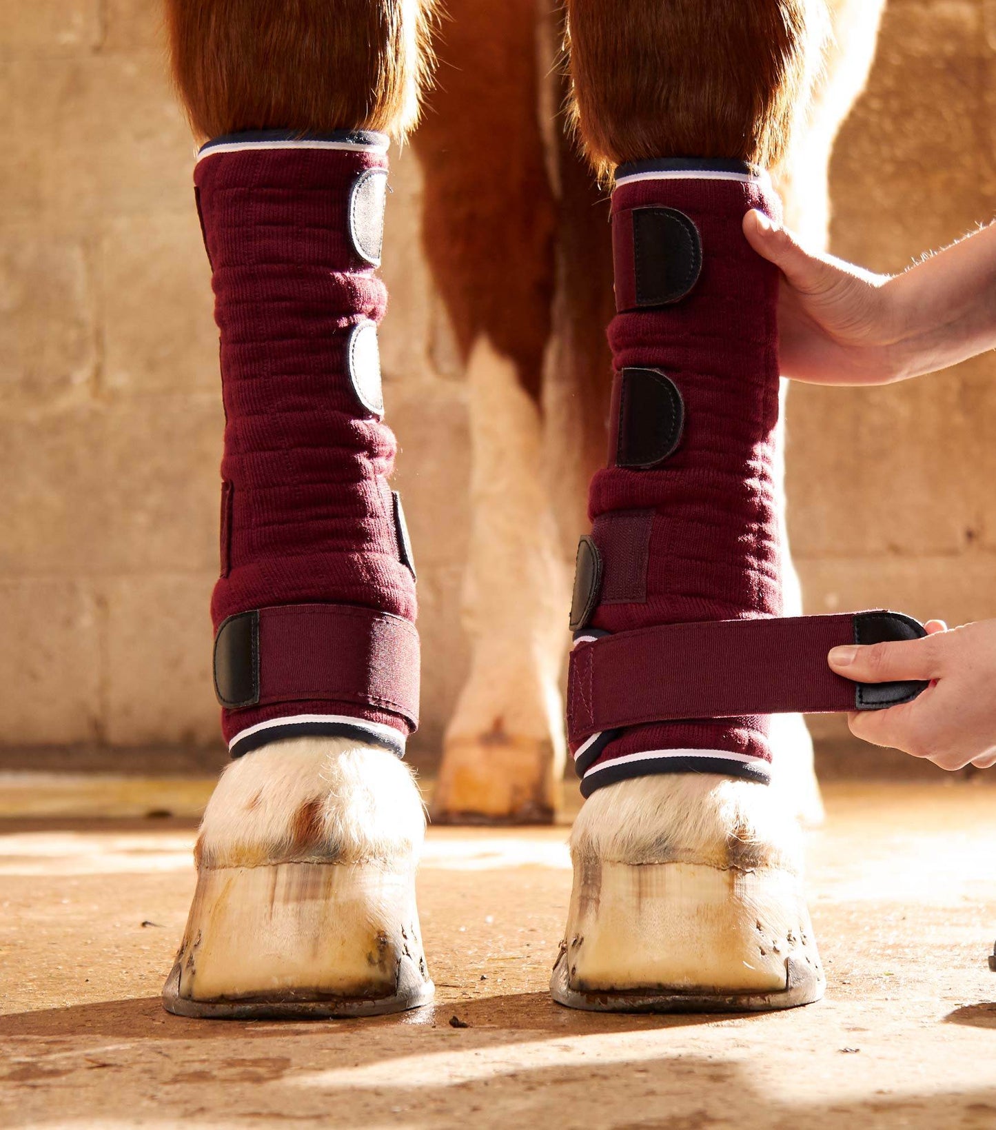 Premier Equine Quick Dry Horse Leg Wraps - N P Equestrian & Pet Supplies Ltd