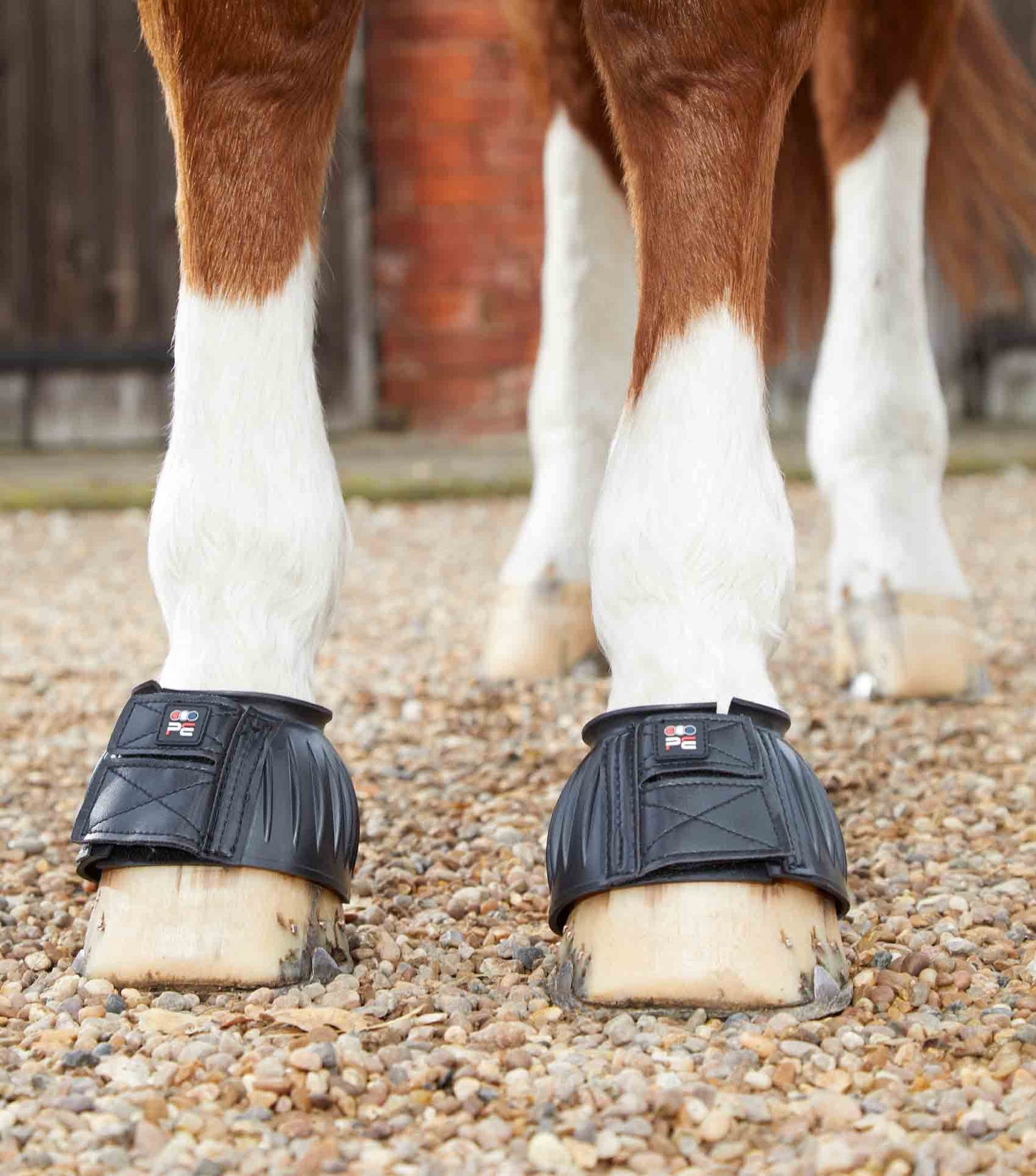 Premier Equine Rubber Bell Over Reach Boots - N P Equestrian & Pet Supplies Ltd