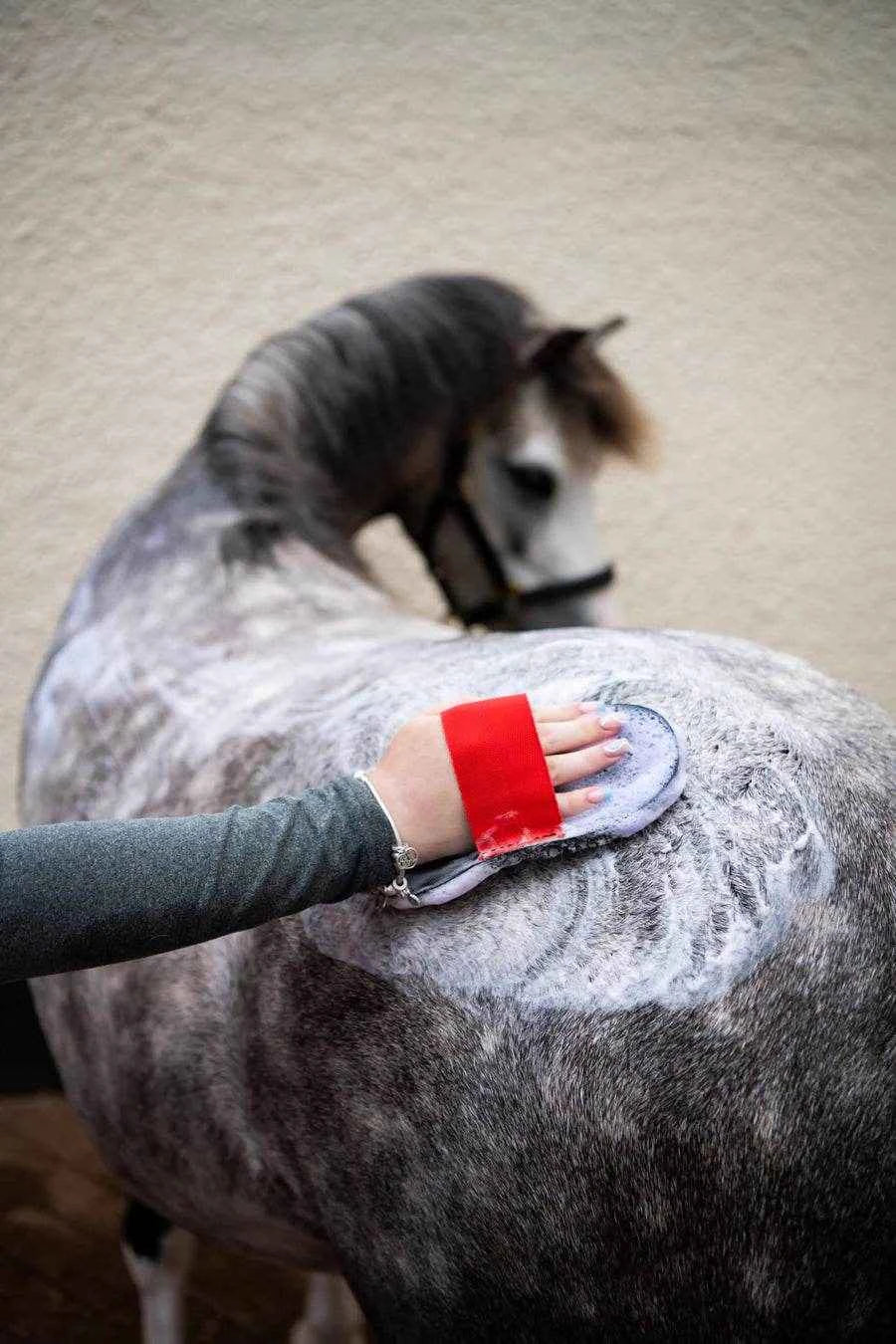 Smart Grooming Super Groomer